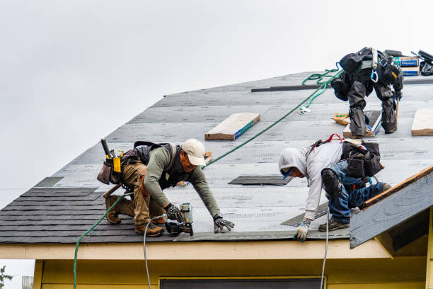 Professional Gutter Installation technician working in Plant City, FL